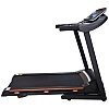 Беговая дорожка Royal Fitness RF-6 купить. Цена, характеристики и фото ...
